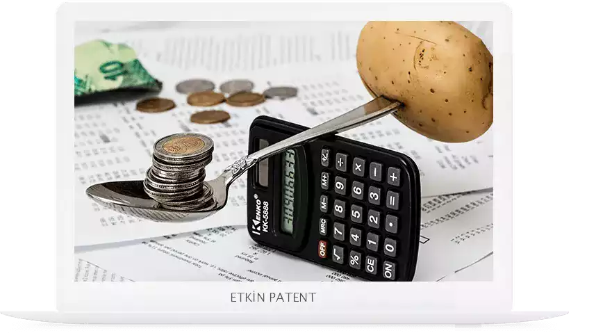 finansal davranışlara dair kombinasyon modeller-Rize Patent
